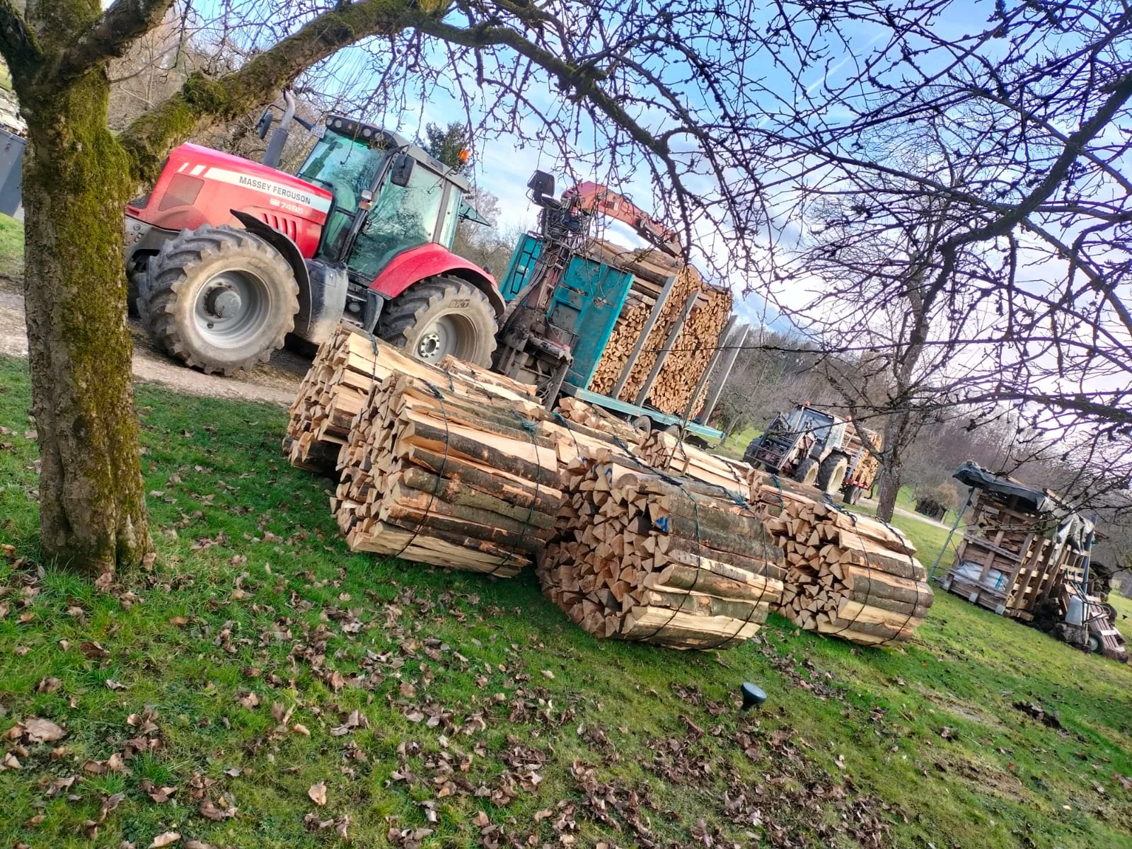 Holzpolter unter Streuobstbäumen